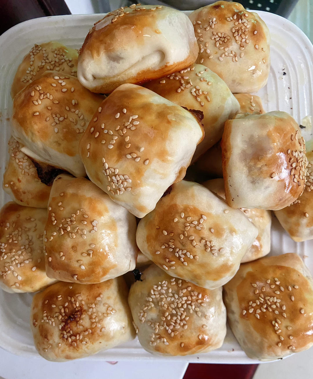 新疆美味--烤包子