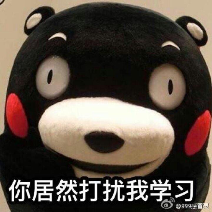 A啊A啊啊啊