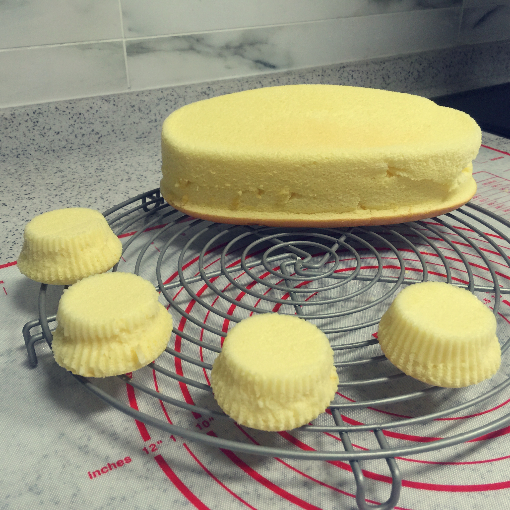 只用淡奶油做的乳酪蛋糕