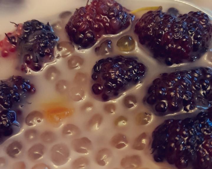 【桑葚椰浆西米露】的做法