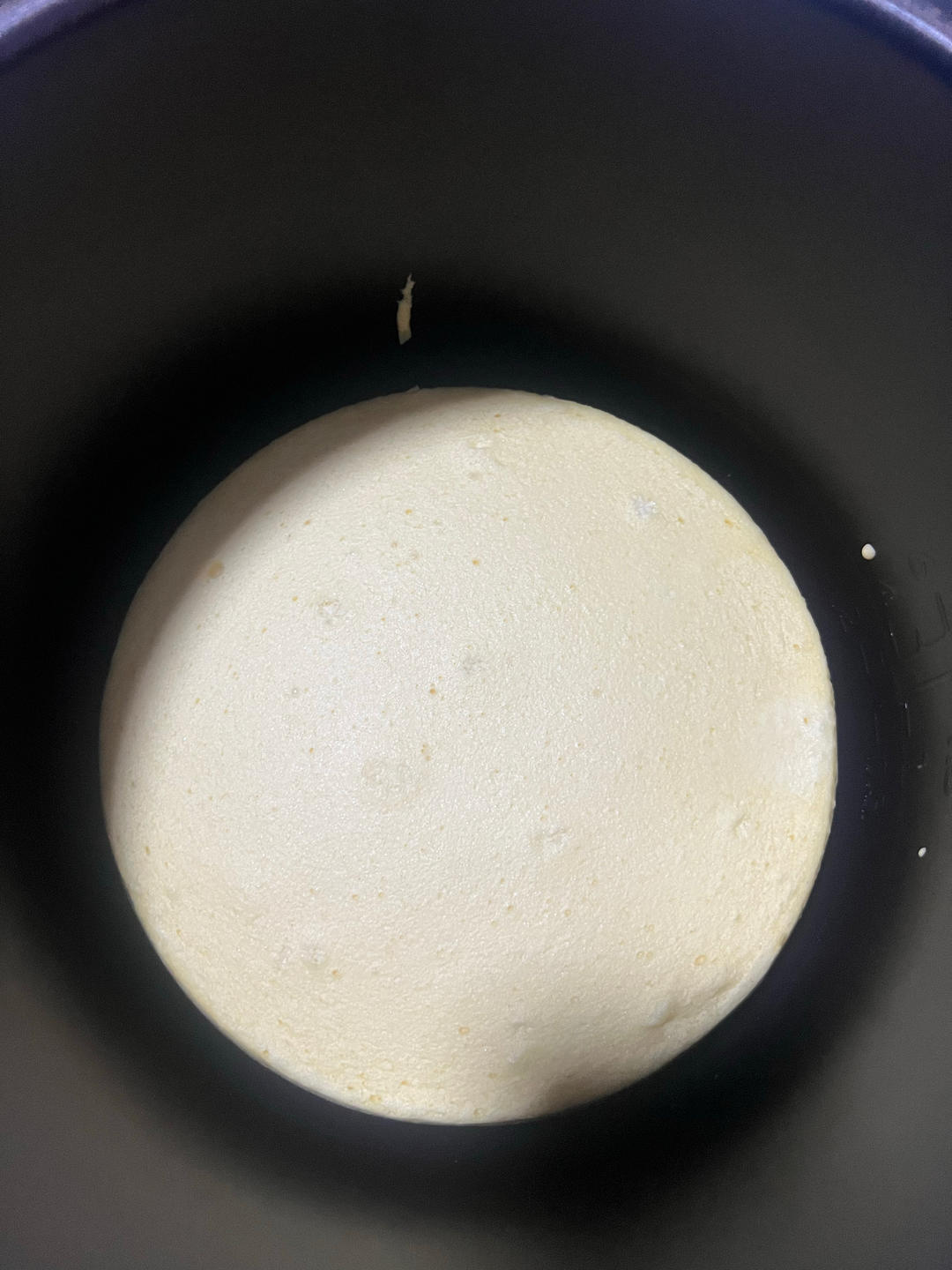 电饭锅蛋糕（超详细版本）