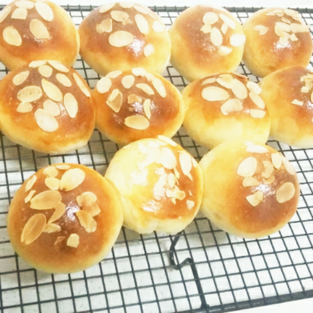 鲜奶油小餐包（一次发酵）