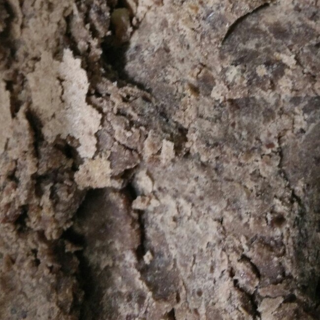 自制红豆沙