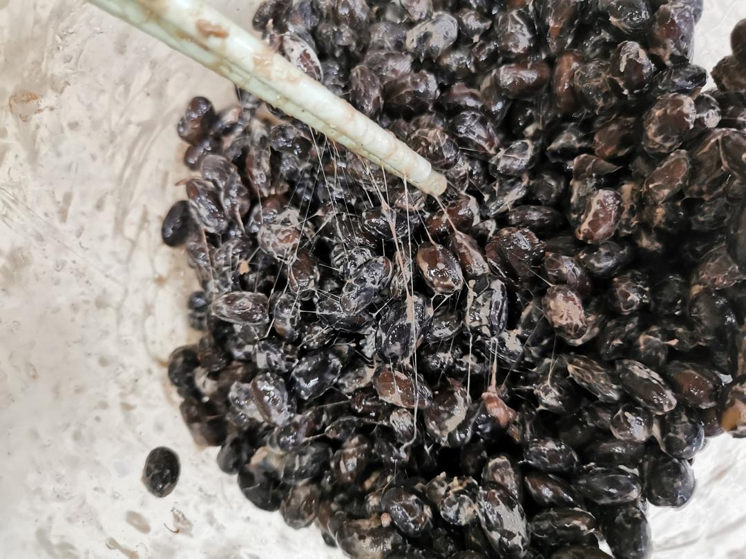 制作千年历史的神奇豆-纳豆