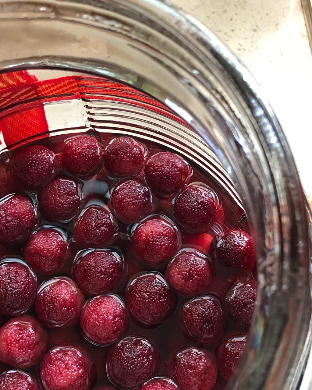 菲儿love做的杨梅酒