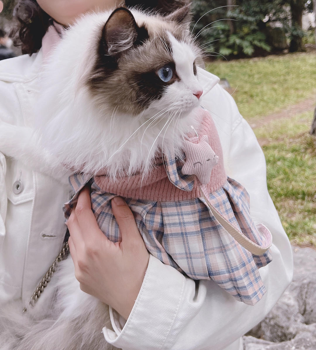 山里来的木呆呆