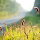 学做饭的然宝儿