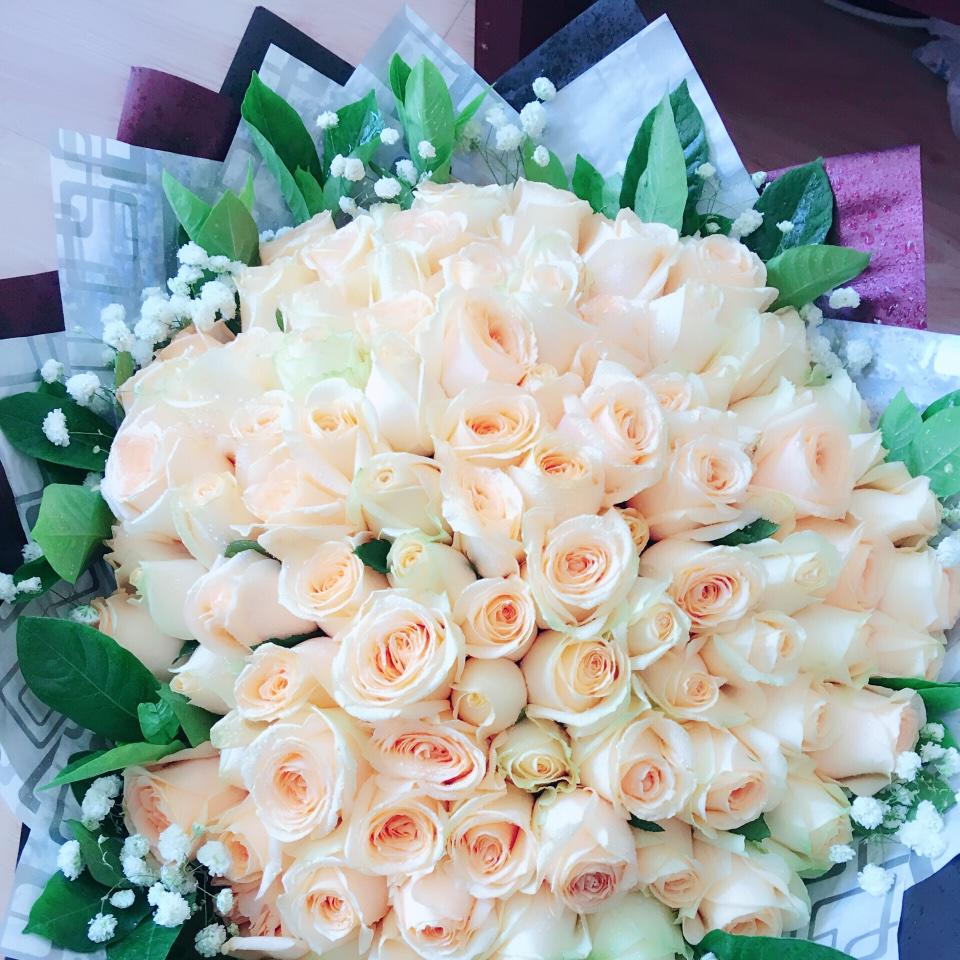 手机用户5900_rw3j