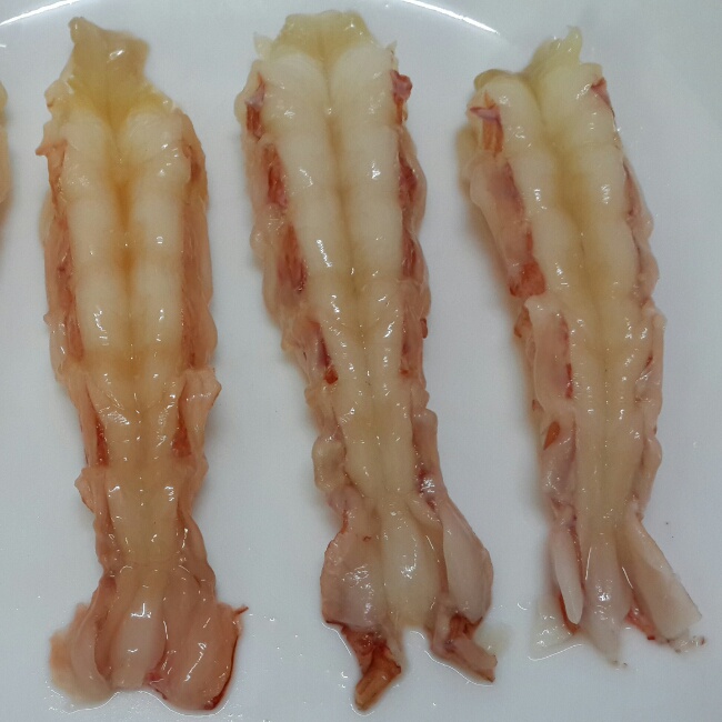 新西兰深海螯虾scampi 刺身