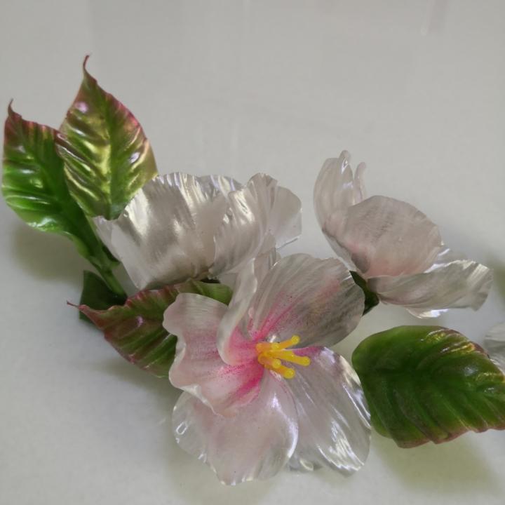 唐人美食席老师