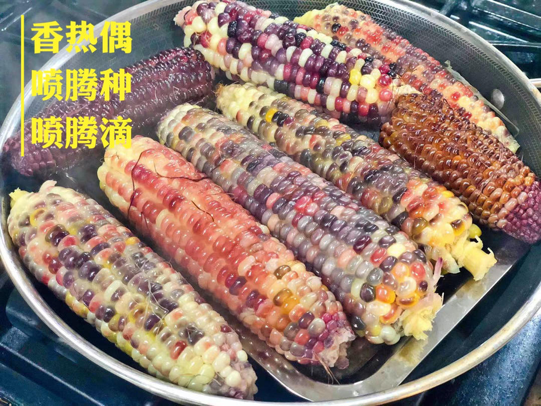 美食大集中