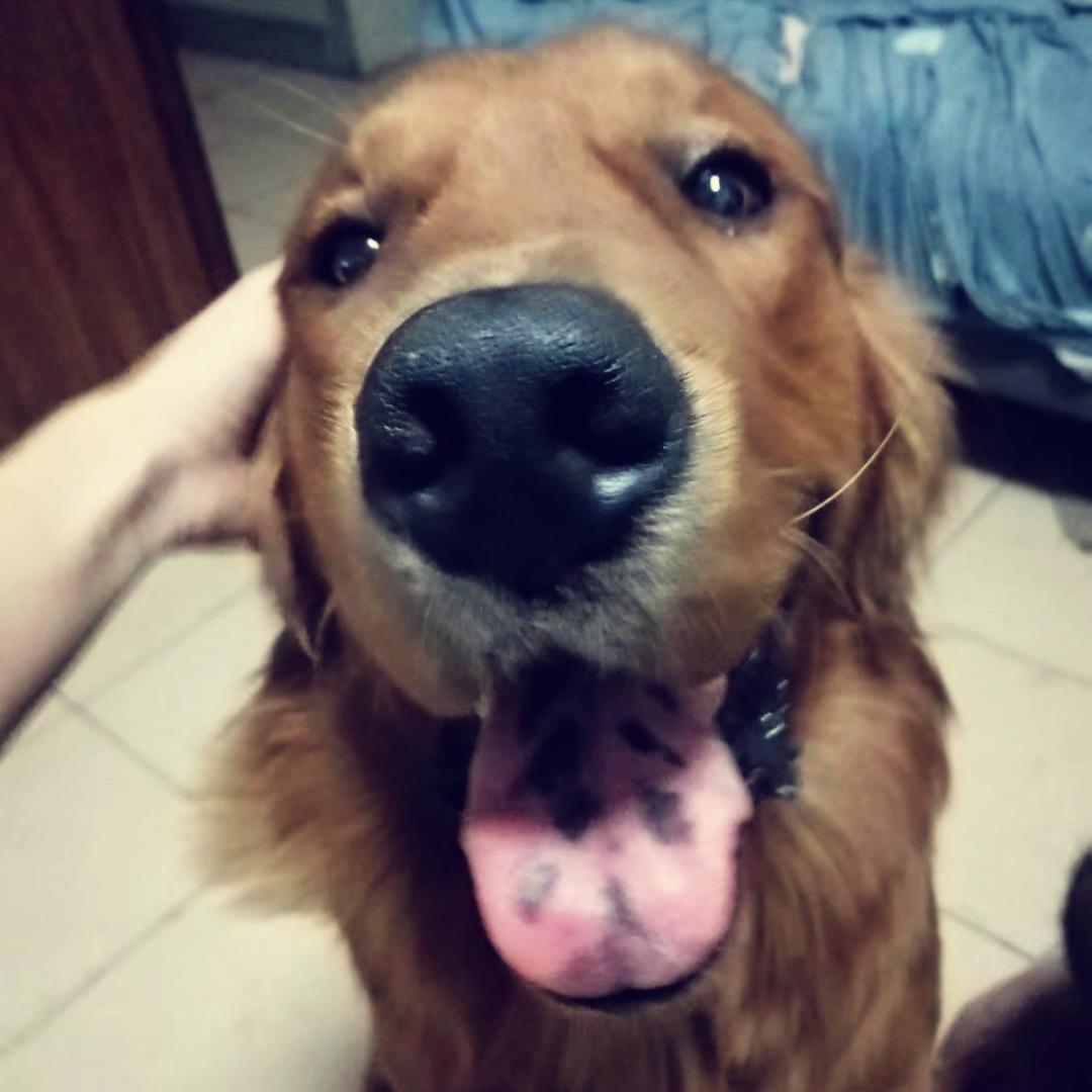 端午同志的小厨房