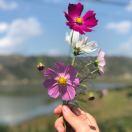 手机用户8018_wst2