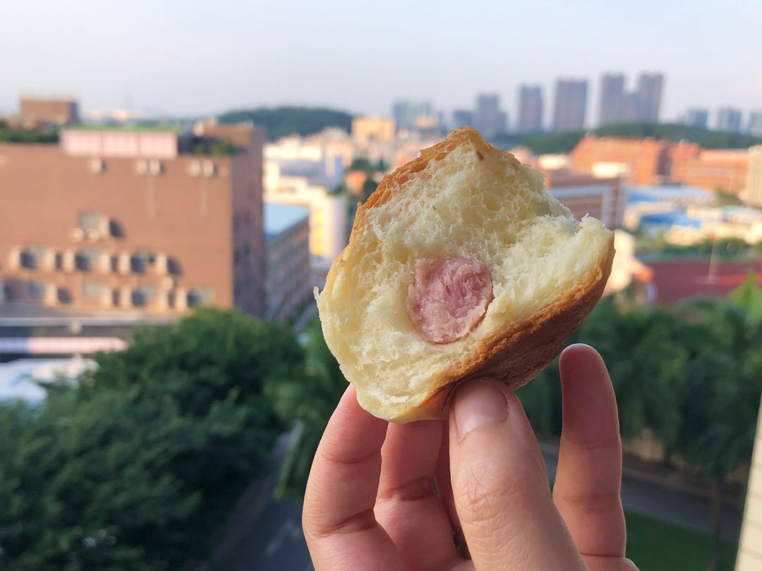 一次发酵肠仔包