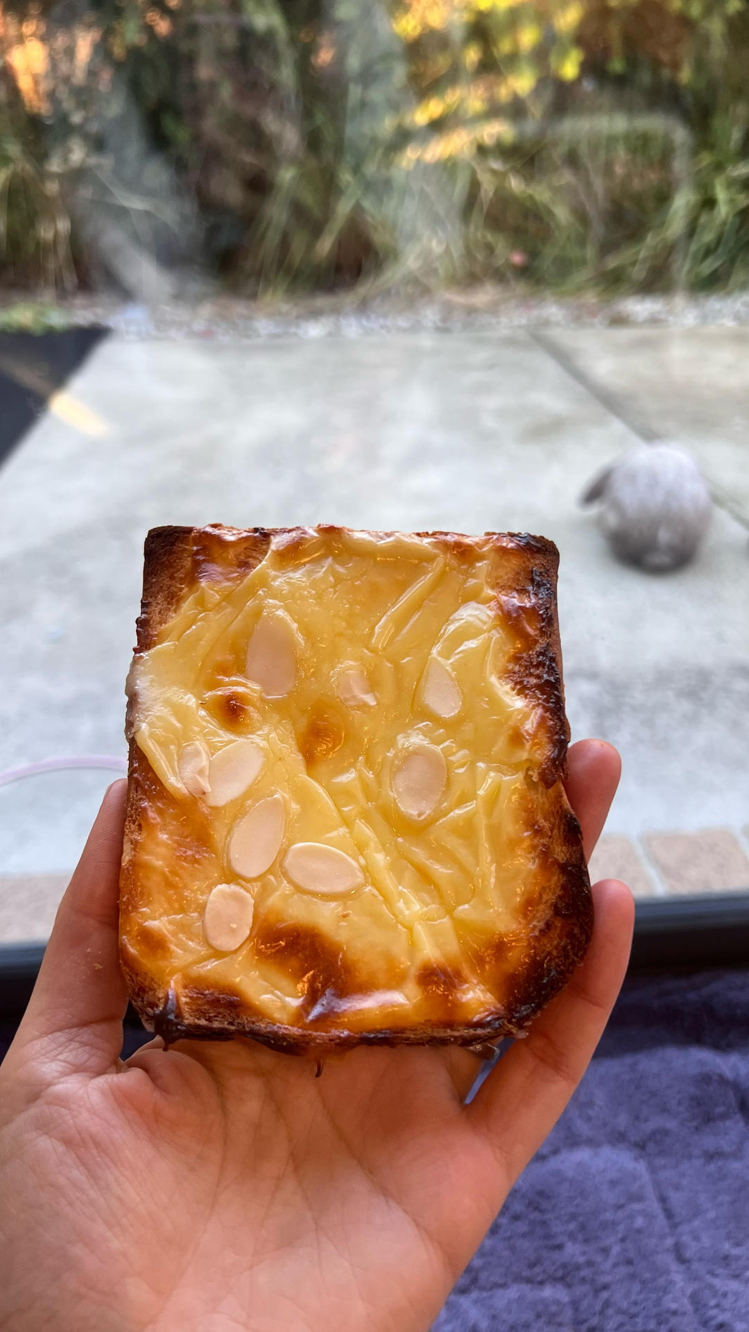岩烧乳酪吐司片