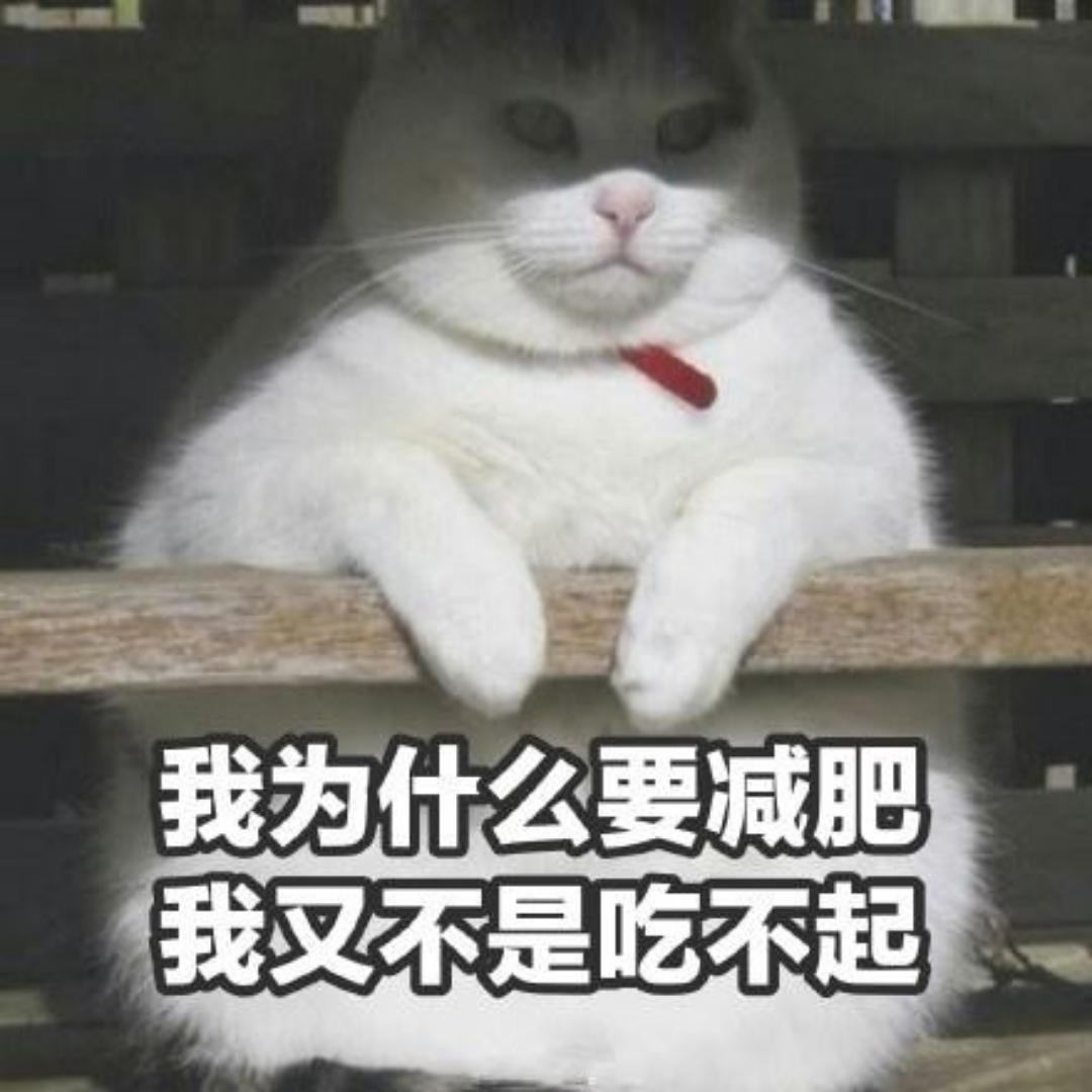 豁牙小猪