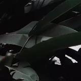 大大姗
