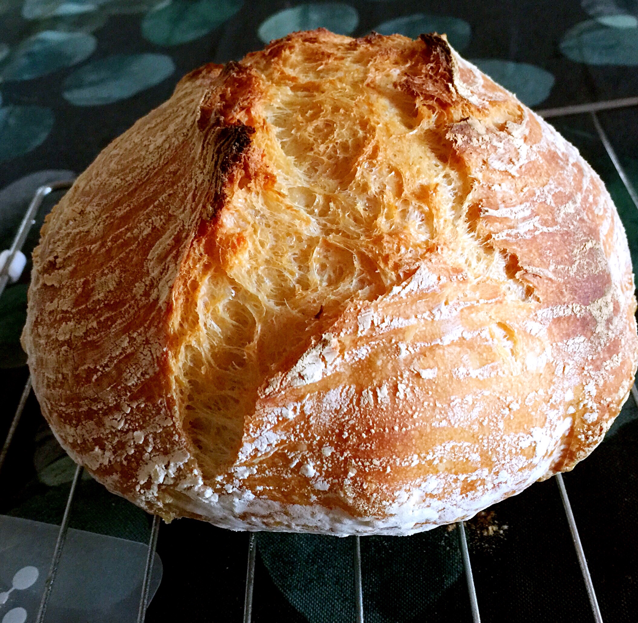 波兰酵头乡村面包--铸铁锅版