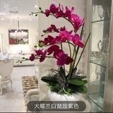 想盼盼的3042