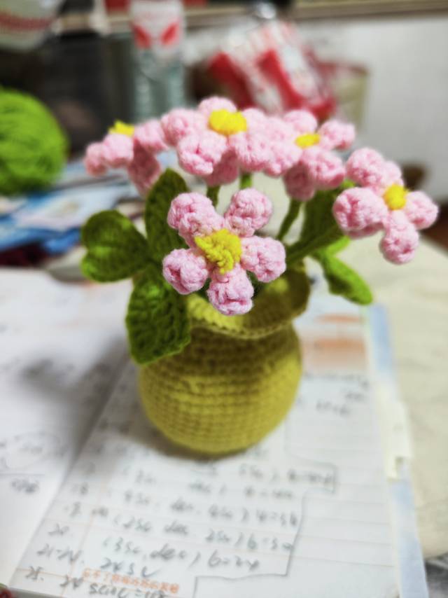 白菜豆腐皮辣