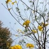 逗逗19