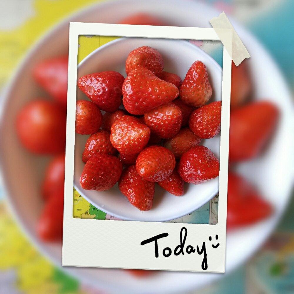 花式吃草莓🍓