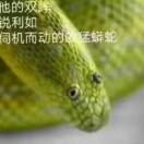 水师傅
