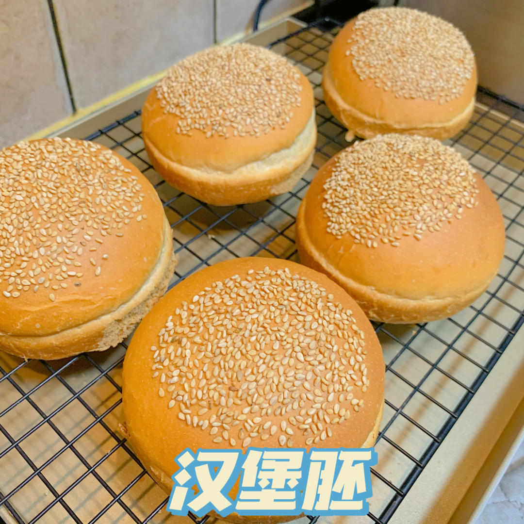 🍔圆滚滚基础汉堡胚