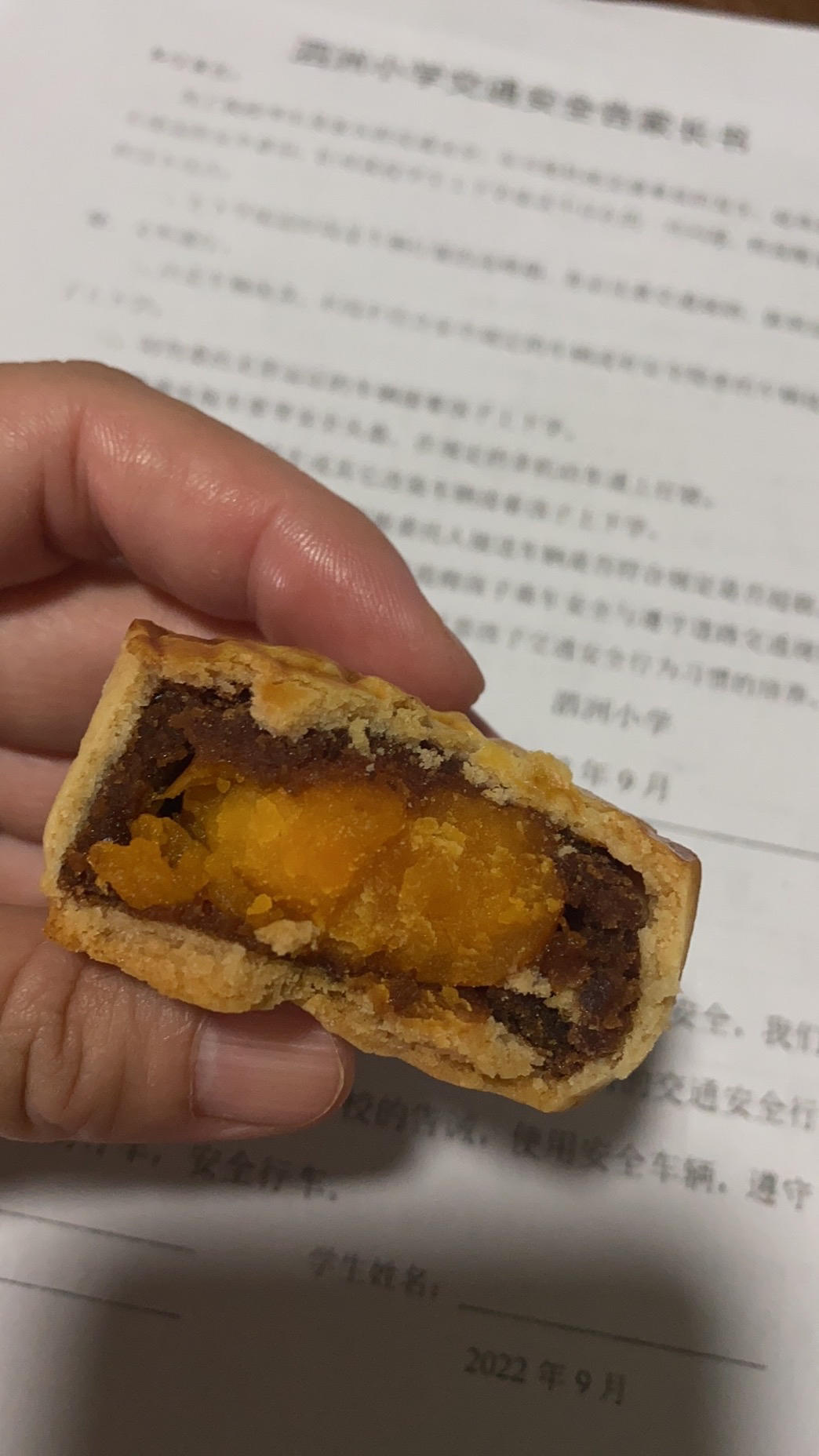 自制❗️零失败❗️广式莲蓉蛋黄月饼🥮