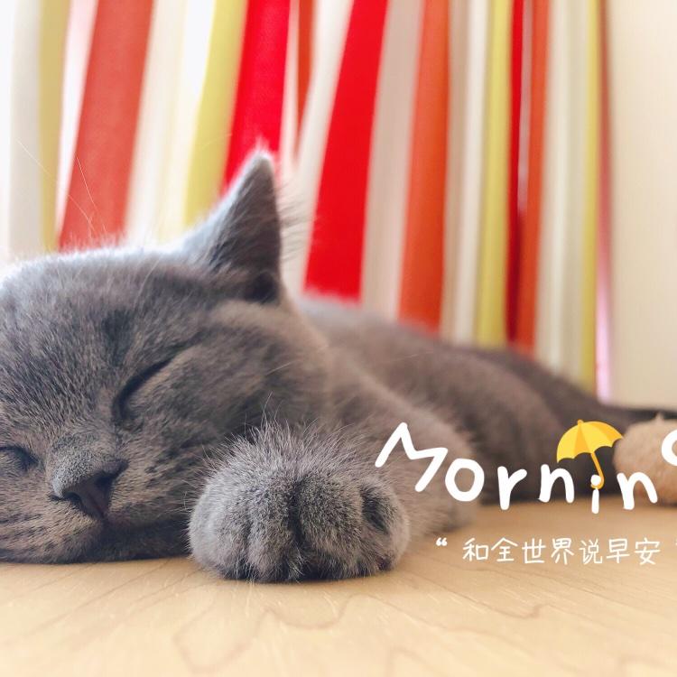 纯白710