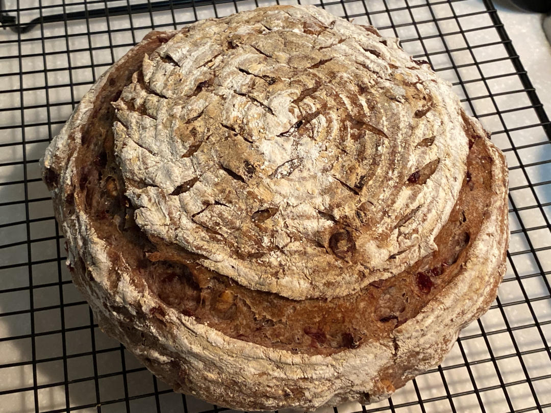 天然酵种乡村欧包/鲁邦种