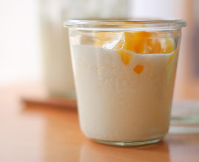 奶香十足的自制酸奶