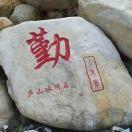 卢氏林俊杰