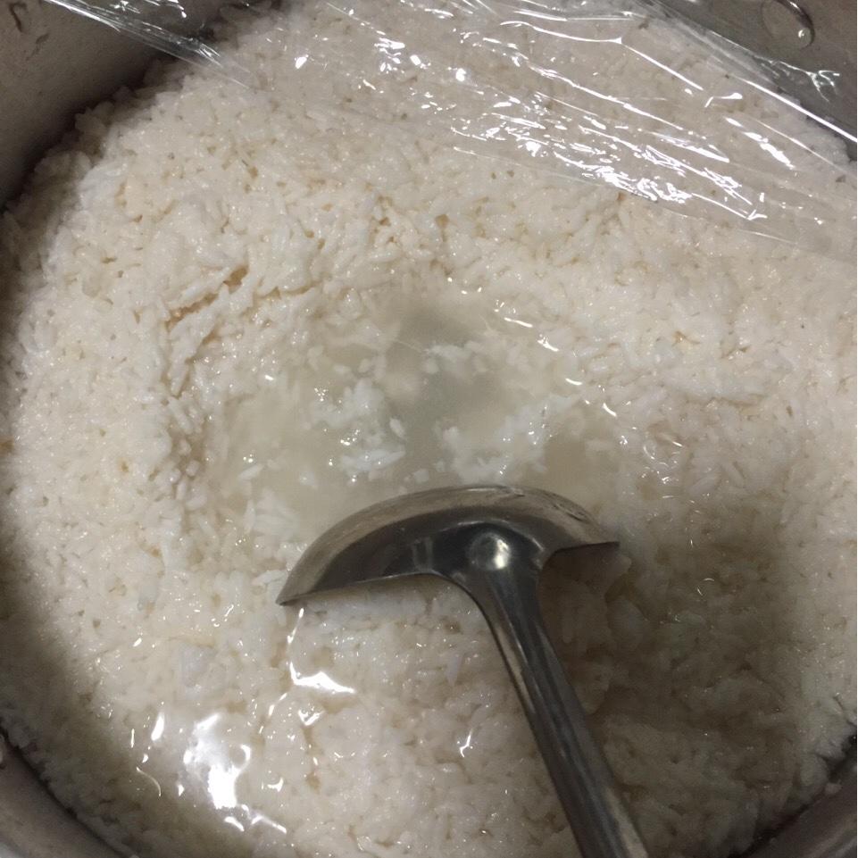 陶醉宝宝做的自制甜酒酿