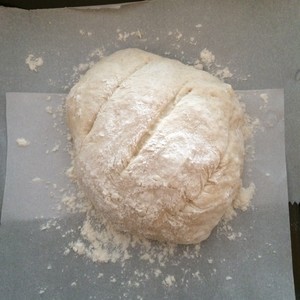 五分钟欧式面包（Five-minute Artisan Bread)的做法 步骤4