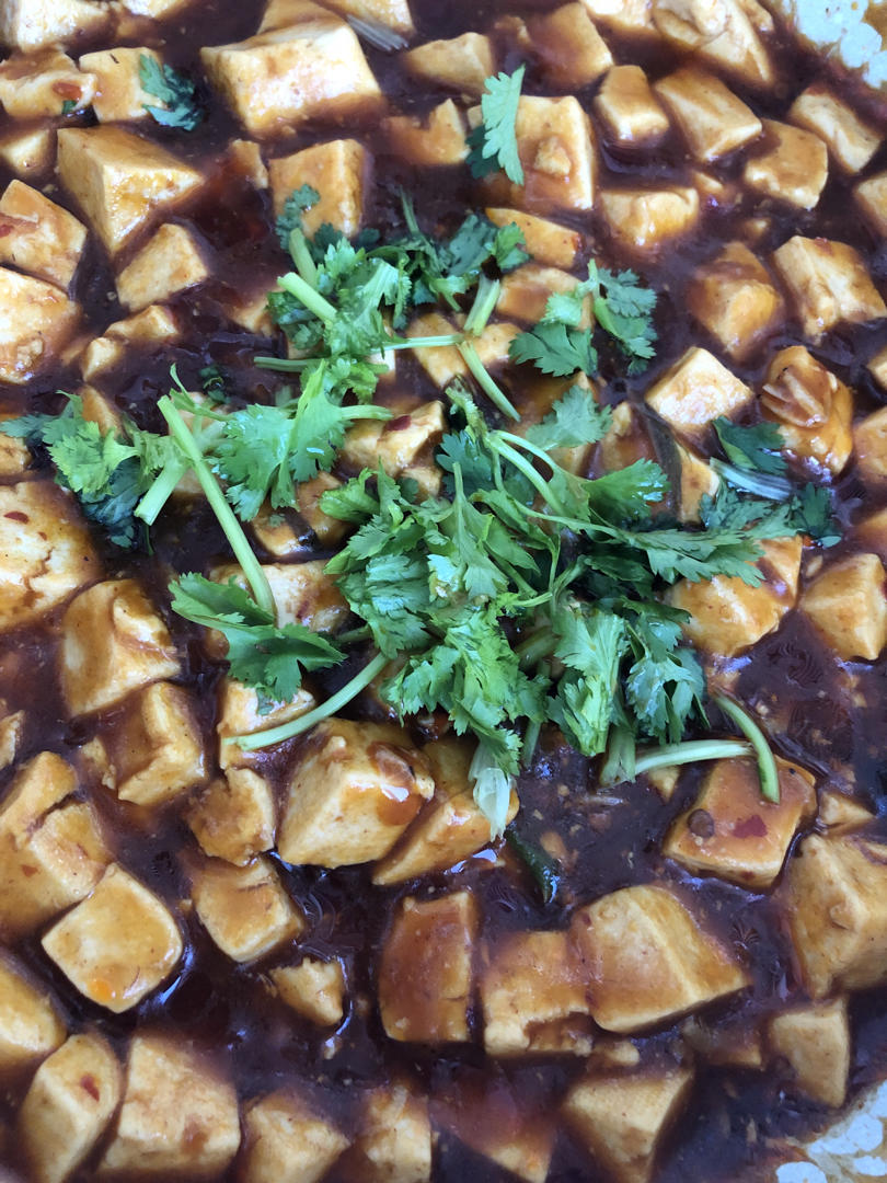 红烧豆腐 无肉末版