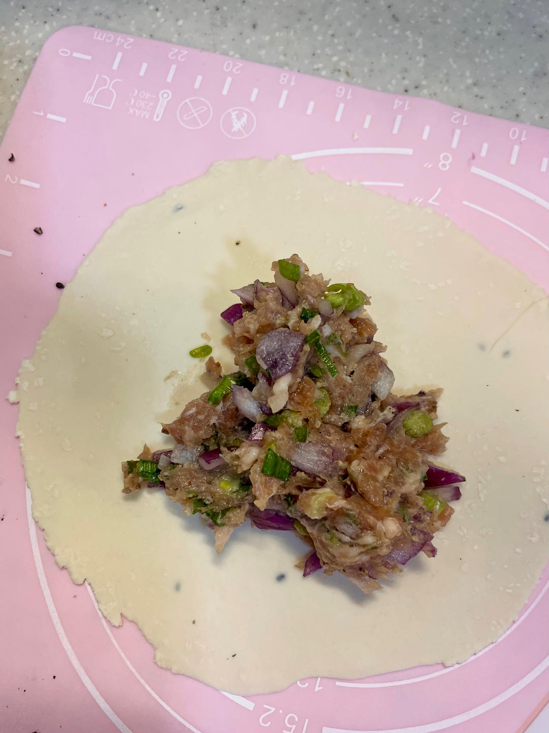 猪肉洋葱馅饼