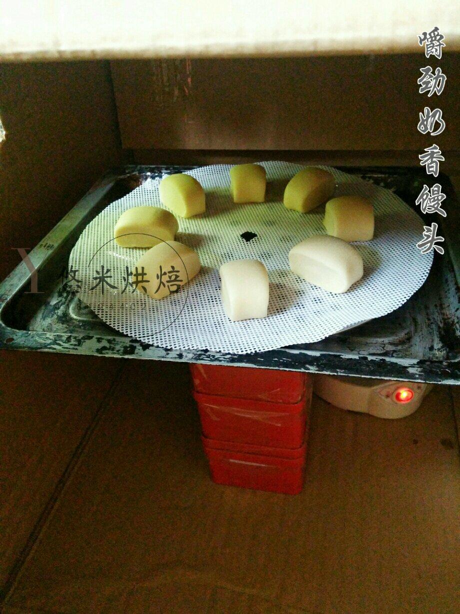 自制简易发酵箱
