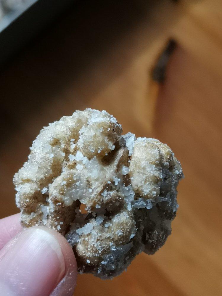 王贝贝你在干嘛做的挂霜核桃冰糖无油版不粘手