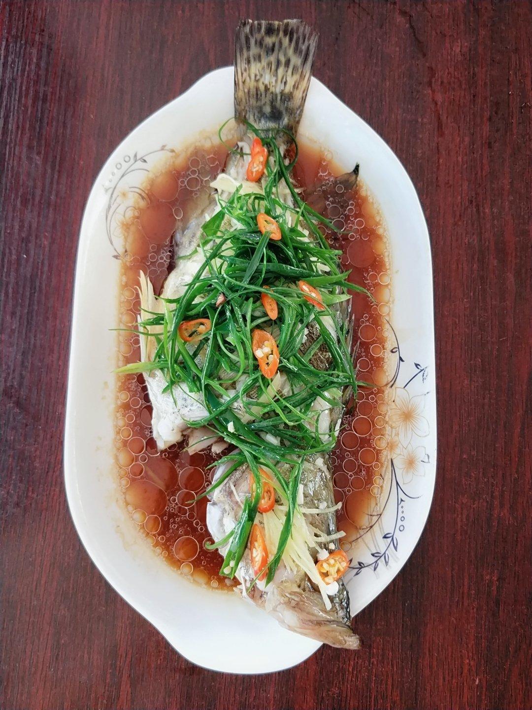 清蒸鱼（鲈鱼/多宝鱼/桂花鱼/石斑鱼……）