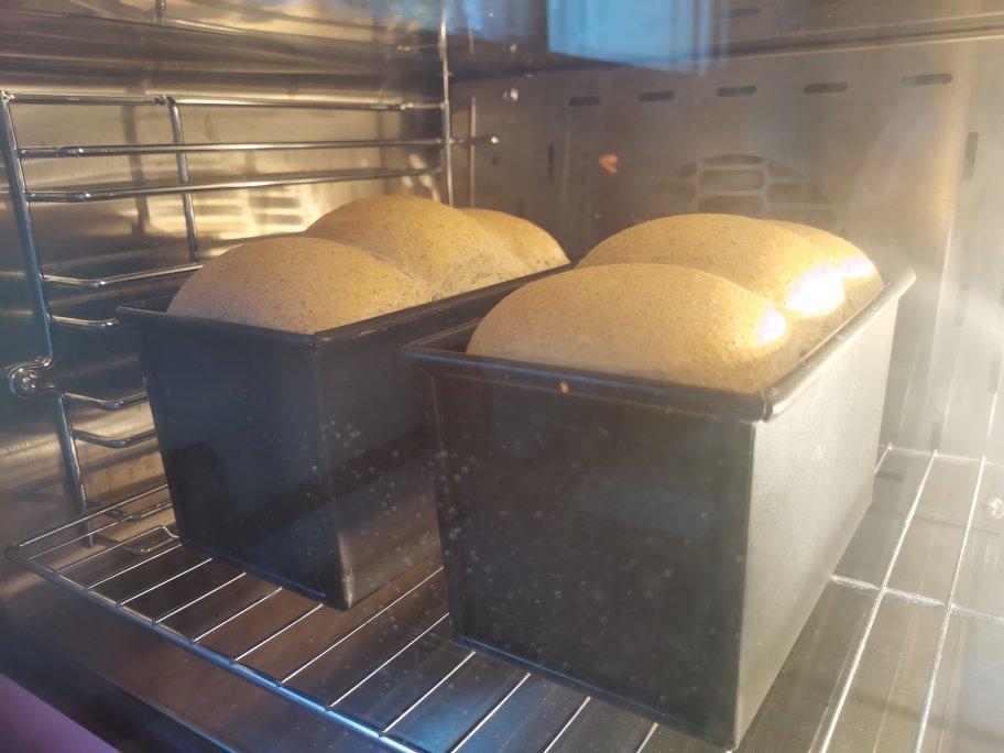 含麦量40％的全麦吐司