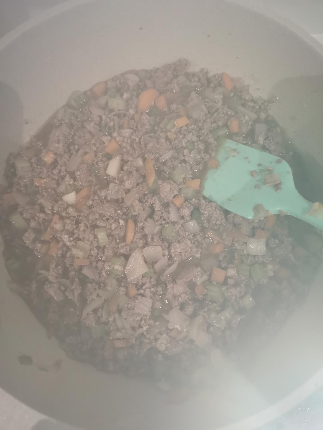博洛尼亚肉酱意面bolognaise