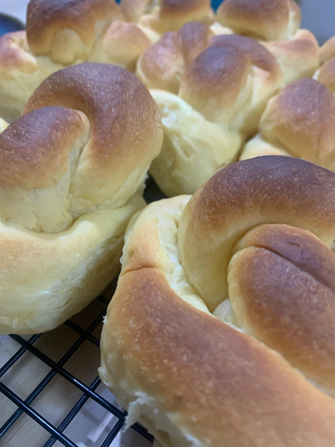 全世界最好吃没有之一的汤种布里欧修老面包