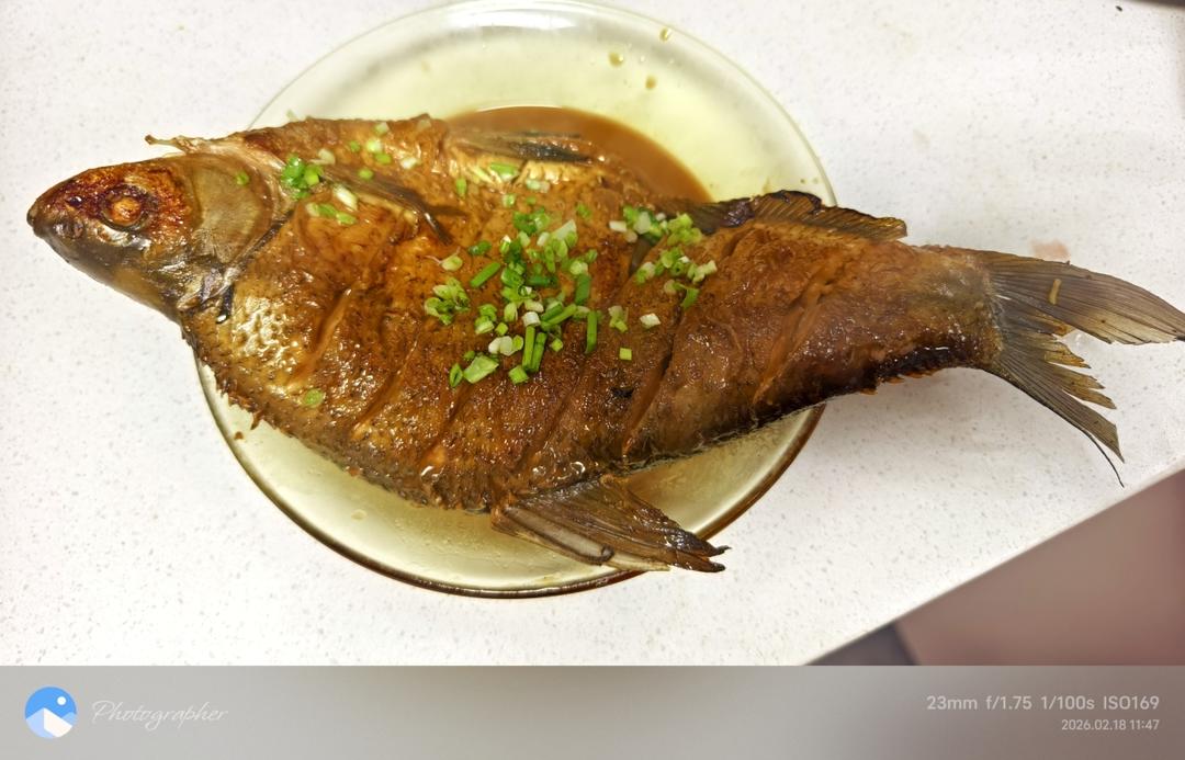 红烧鱼/糖醋鱼(黄鳝，带鱼，墨鱼，扁鱼，鲳鱼)（品味江南），糖醋带鱼（一日三餐），红烧划水(红烧鱼尾)，整条鱼怎么放，馋嘴鱼开店配方，醉鱼，大盘鱼