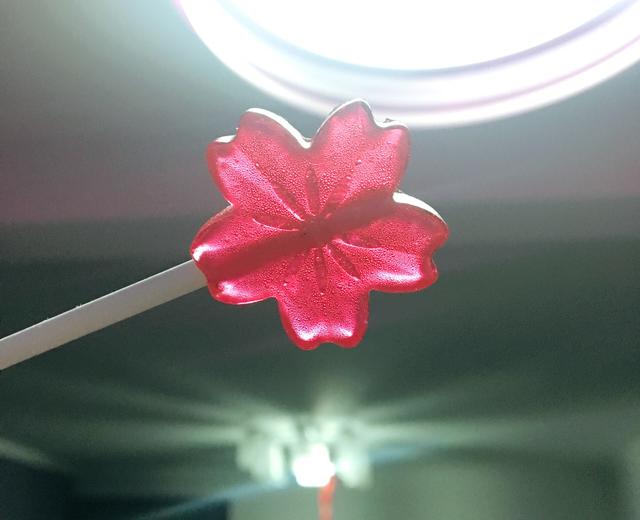 水果棒棒糖🍭的做法