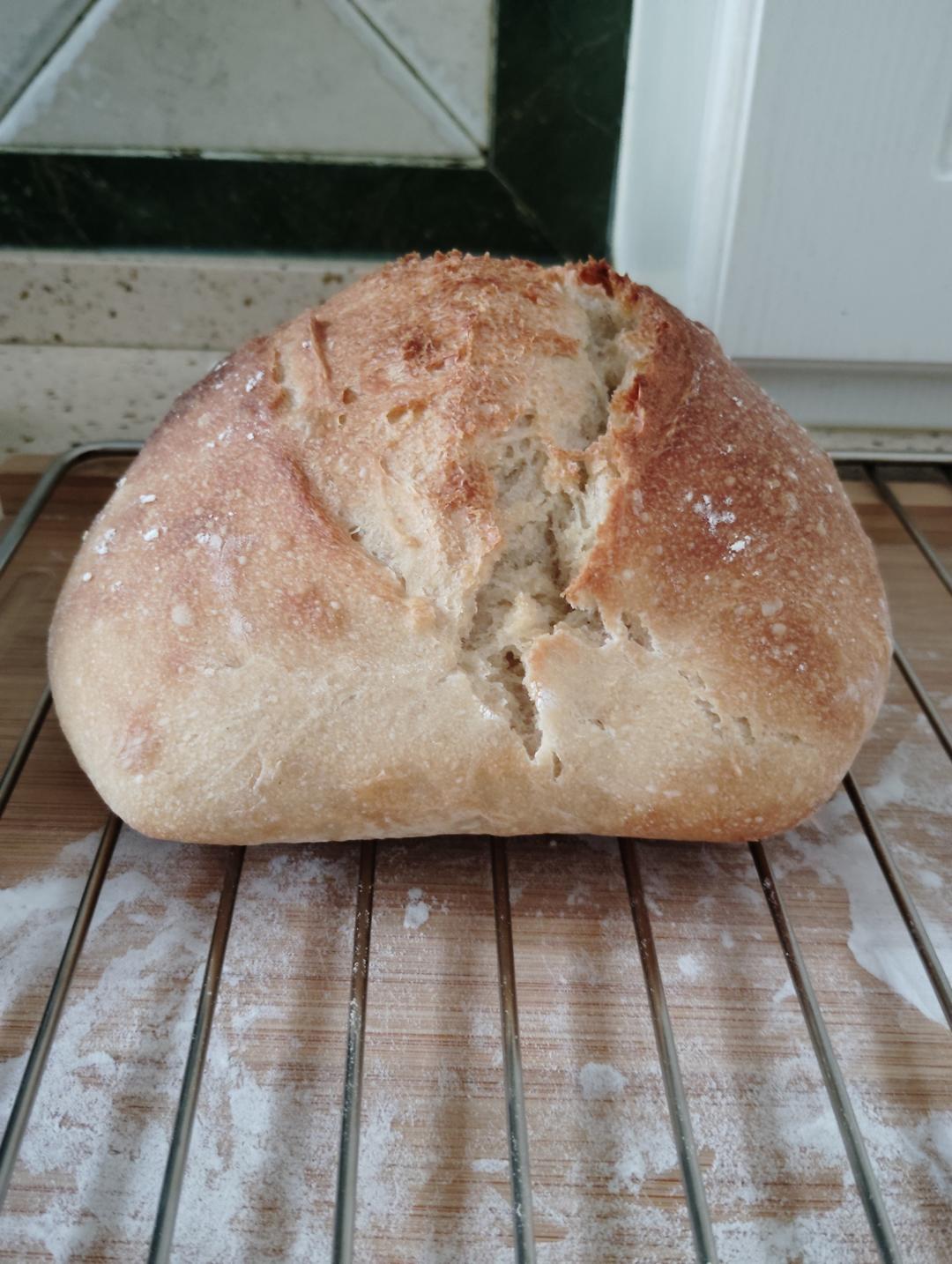 免揉面 法式乡村面包