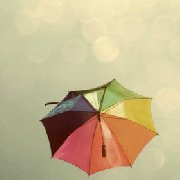 暗夜花开开不败