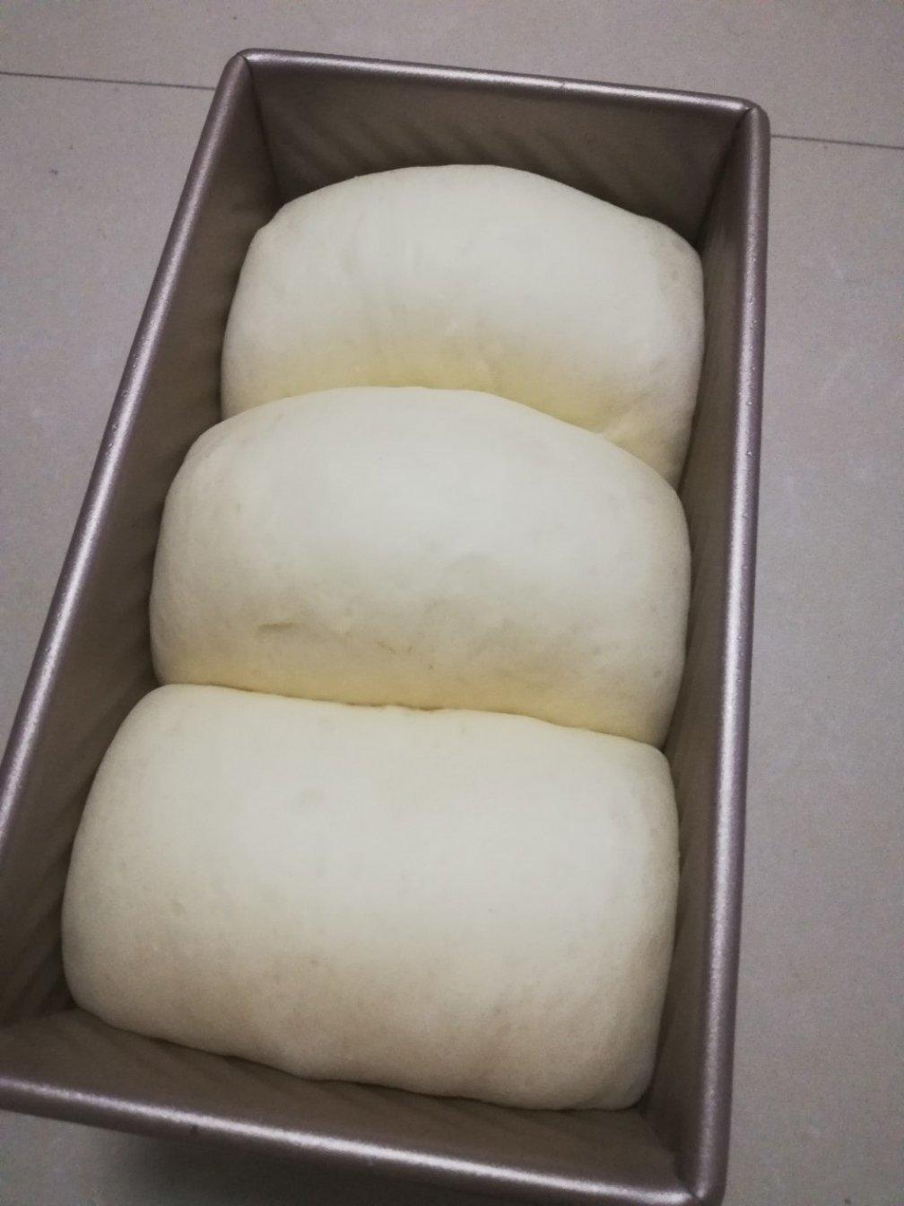 红豆土司(成人学校版)