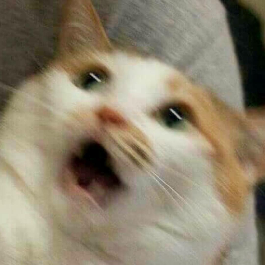 不断尝试的小老虎