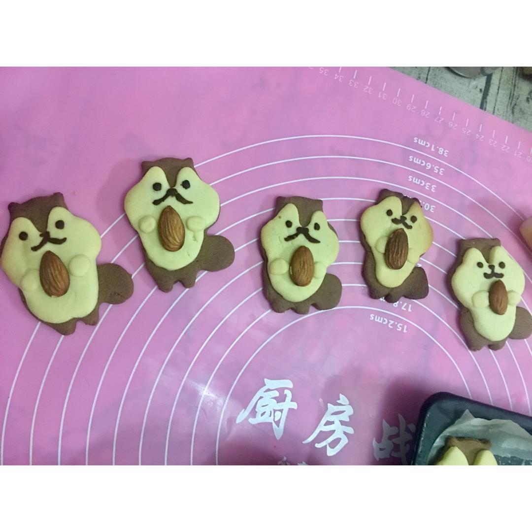 卡通动物立体饼干--抱大杏仁的小松鼠